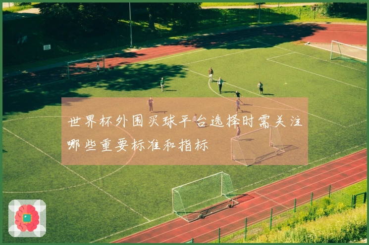世界杯外围买球平台选择时需关注哪些重要标准和指标