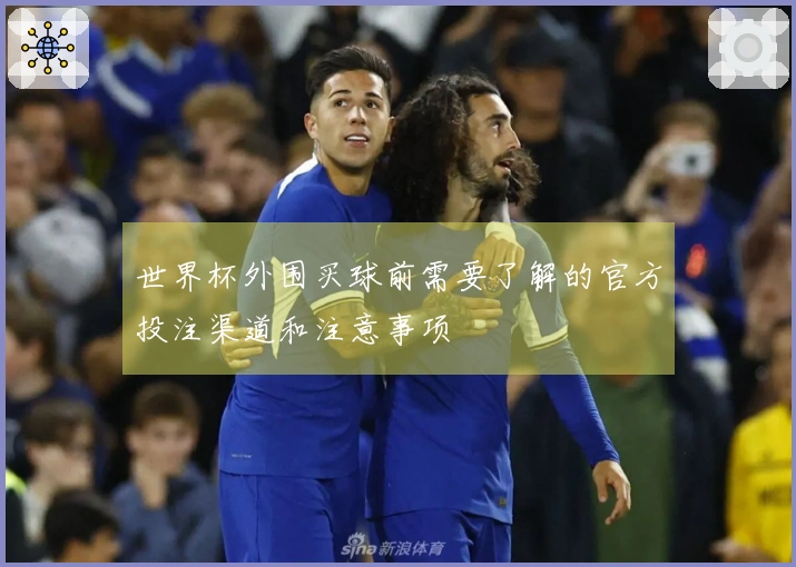 世界杯外围买球前需要了解的官方投注渠道和注意事项
