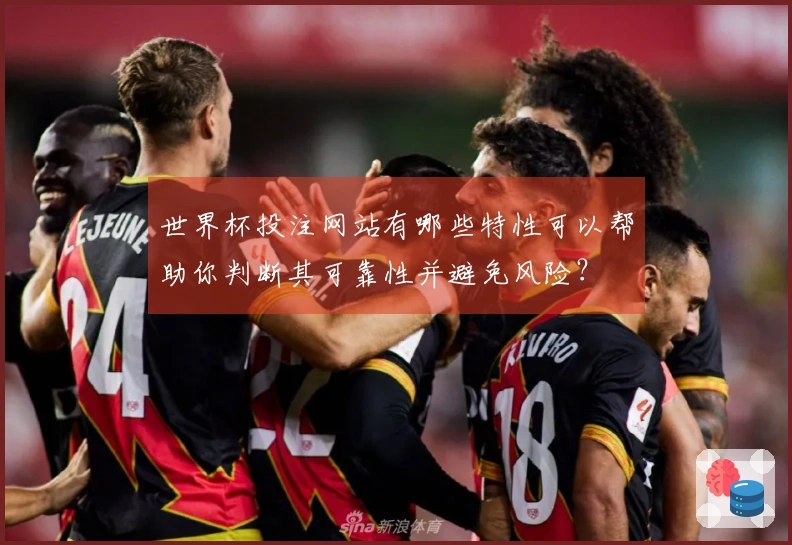 世界杯投注网站有哪些特性可以帮助你判断其可靠性并避免风险？
