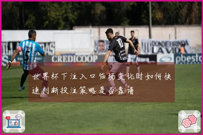 世界杯下注入口临场变化时如何快速判断投注策略是否靠谱