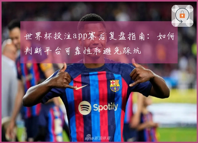 世界杯投注app赛后复盘指南：如何判断平台可靠性和避免踩坑