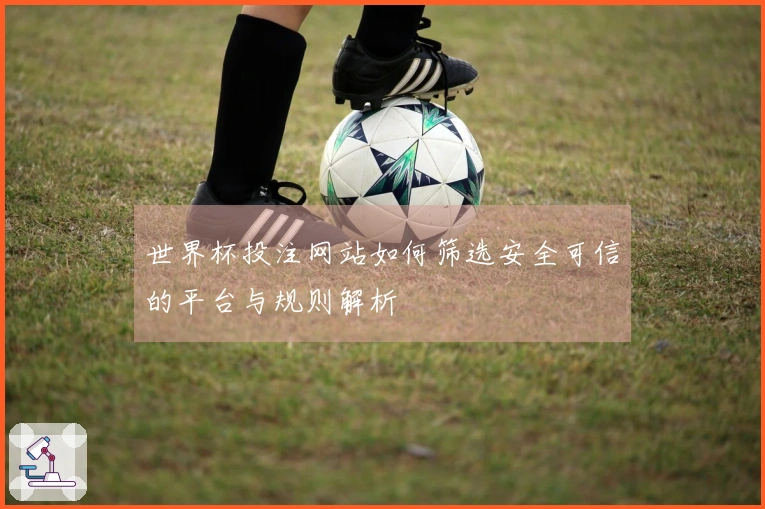 世界杯投注网站如何筛选安全可信的平台与规则解析