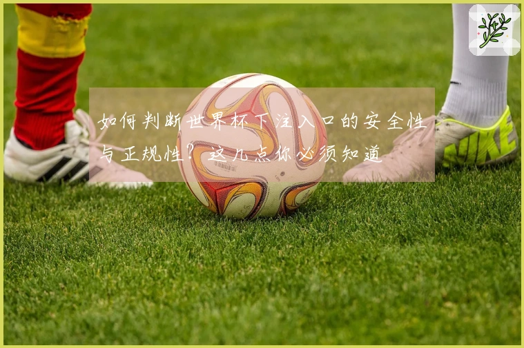 如何判断世界杯下注入口的安全性与正规性？这几点你必须知道