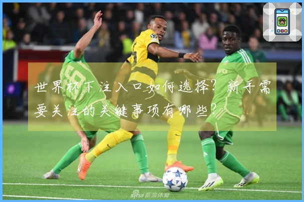 世界杯下注入口如何选择？新手需要关注的关键事项有哪些？