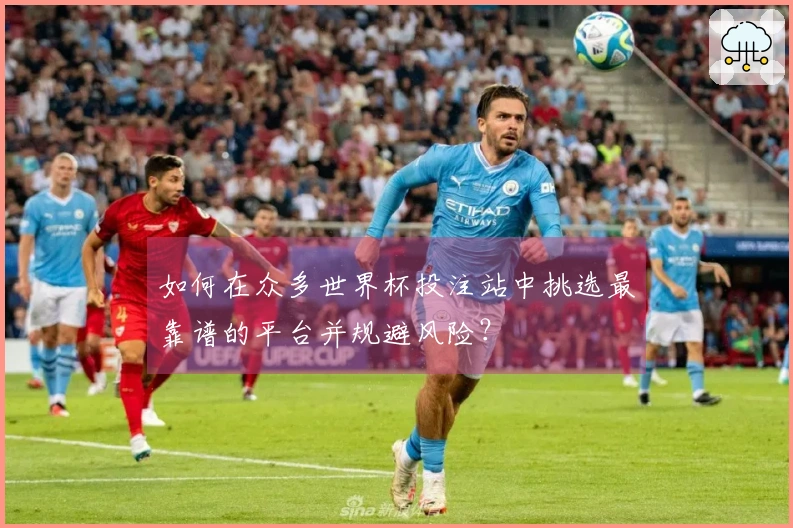 如何在众多世界杯投注站中挑选最靠谱的平台并规避风险？