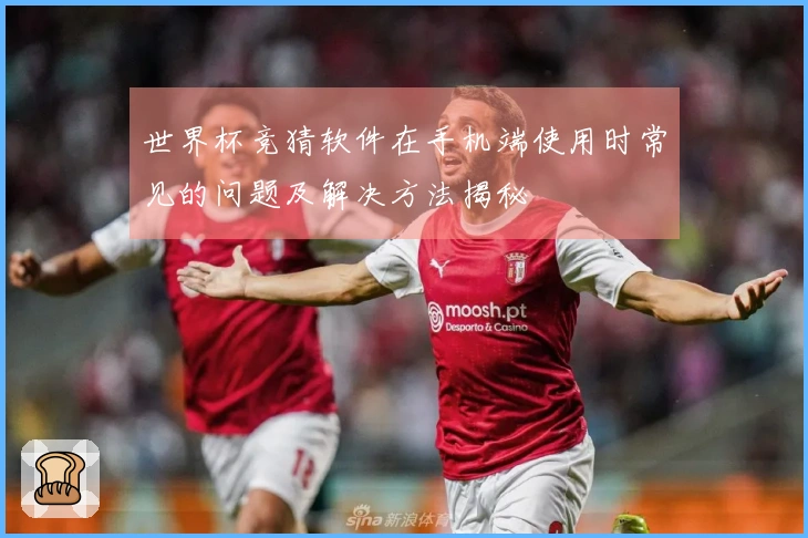 世界杯竞猜软件在手机端使用时常见的问题及解决方法揭秘
