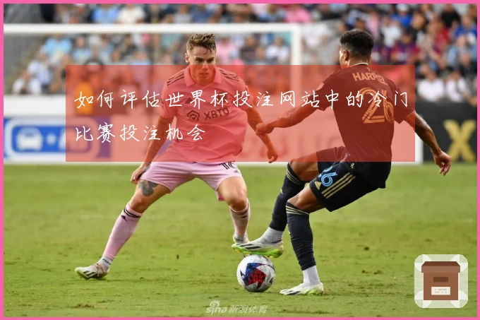 如何评估世界杯投注网站中的冷门比赛投注机会