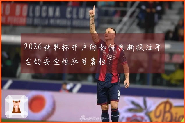2026世界杯开户时如何判断投注平台的安全性和可靠性？