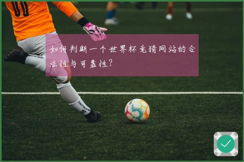 如何判断一个世界杯竞猜网站的合法性与可靠性？