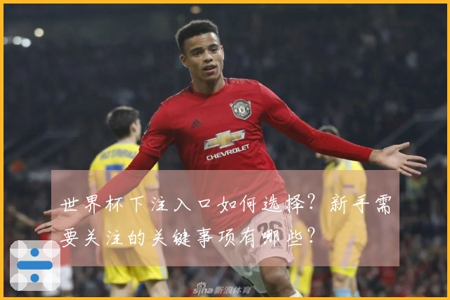 世界杯下注入口如何选择？新手需要关注的关键事项有哪些？