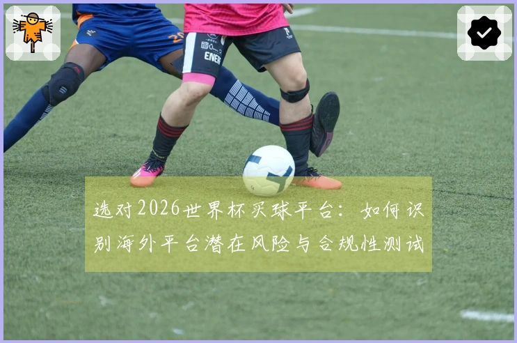 选对2026世界杯买球平台：如何识别海外平台潜在风险与合规性测试