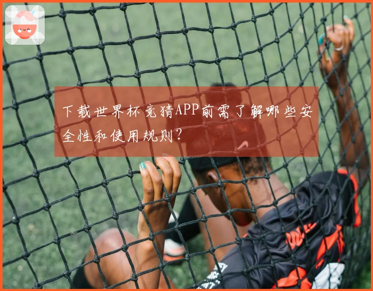 下载世界杯竞猜APP前需了解哪些安全性和使用规则？