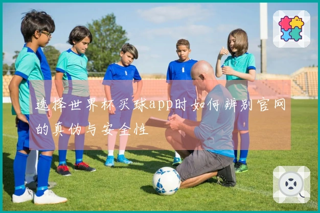 选择世界杯买球app时如何辨别官网的真伪与安全性