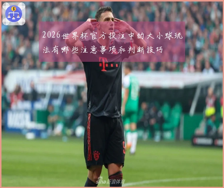 2026世界杯官方投注中的大小球玩法有哪些注意事项和判断技巧