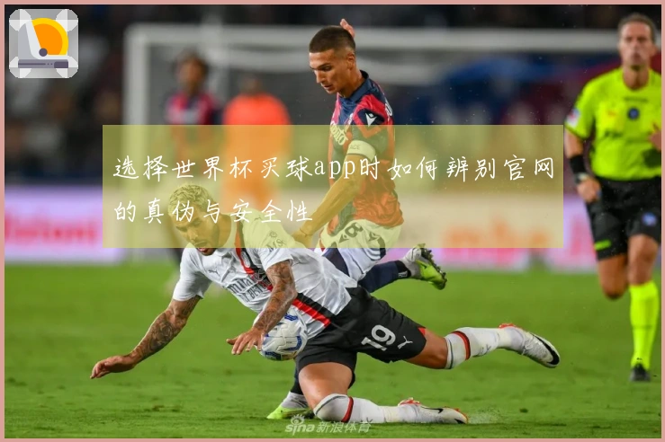 选择世界杯买球app时如何辨别官网的真伪与安全性