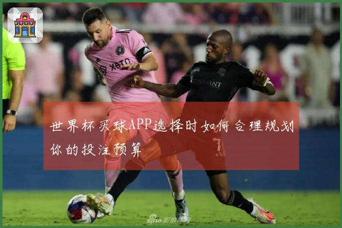世界杯买球APP选择时如何合理规划你的投注预算