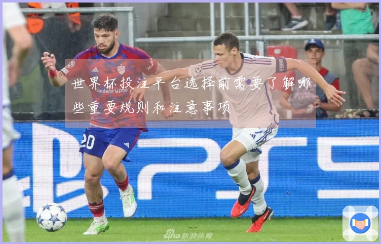 世界杯投注平台选择前需要了解哪些重要规则和注意事项