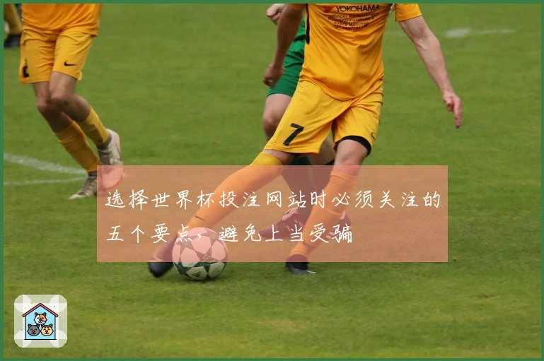 选择世界杯投注网站时必须关注的五个要点，避免上当受骗